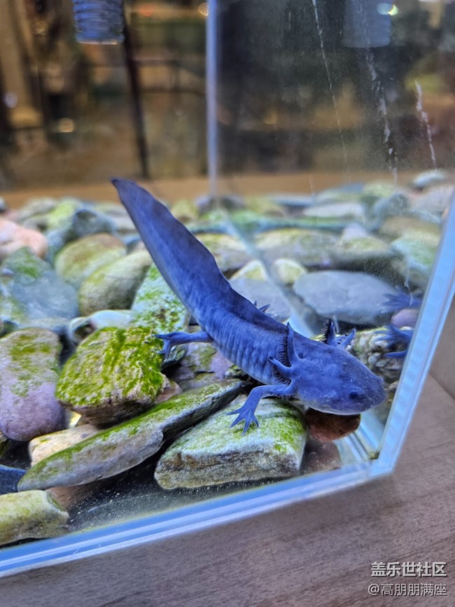 【用鏡頭將五彩繽紛定格】6.18活動(dòng)記錄 【用鏡頭將五彩繽紛定格】6.18活動(dòng)記錄