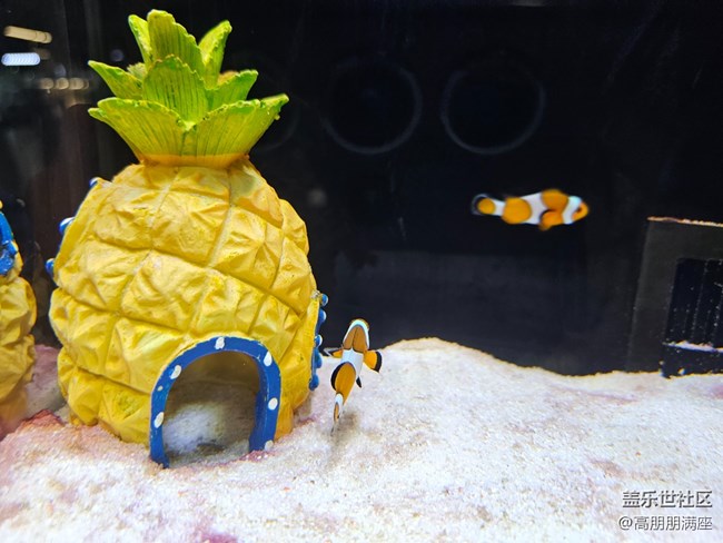 【用鏡頭將五彩繽紛定格】6.18活動(dòng)記錄 【用鏡頭將五彩繽紛定格】6.18活動(dòng)記錄