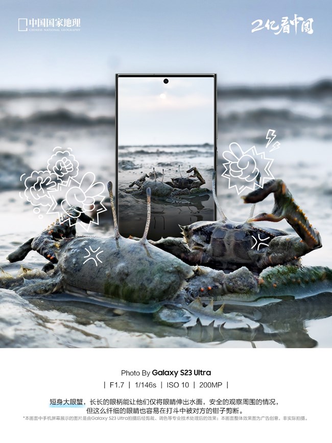 來自海邊的生物朋友