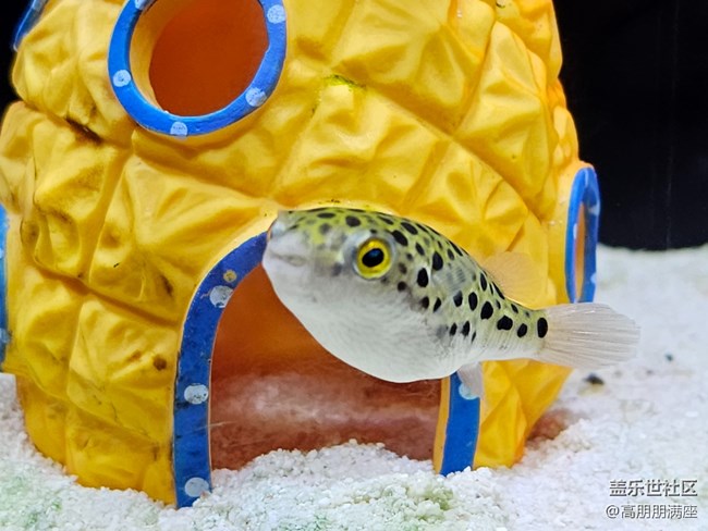 【用鏡頭將五彩繽紛定格】6.18活動(dòng)記錄 【用鏡頭將五彩繽紛定格】6.18活動(dòng)記錄