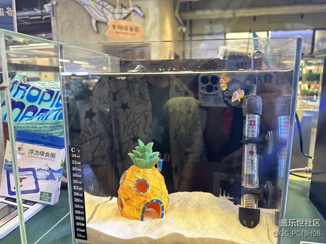 【用鏡頭將五彩繽紛定格】