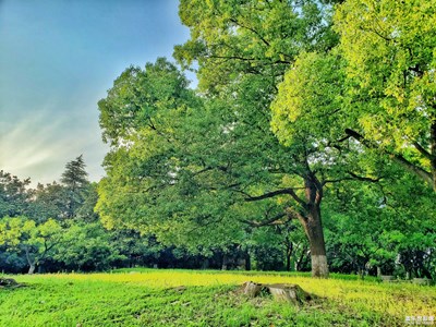 【鏡頭里的夏天】+美好生活記錄 夏天