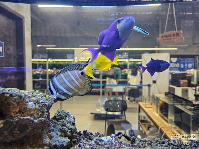 【用鏡頭將五彩繽紛定格】6.18活動(dòng)記錄 【用鏡頭將五彩繽紛定格】6.18活動(dòng)記錄