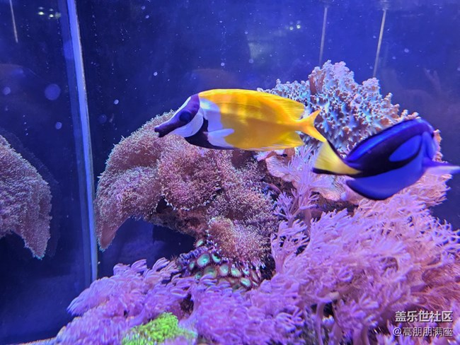 【用鏡頭將五彩繽紛定格】6.18活動(dòng)記錄 【用鏡頭將五彩繽紛定格】6.18活動(dòng)記錄