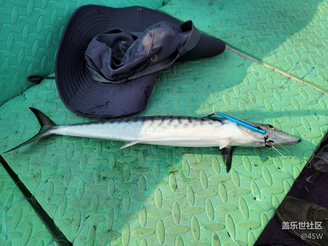 #歡樂時(shí)光——首釣 | 成功