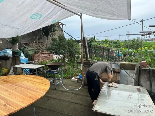 【端午安康】端午的一天