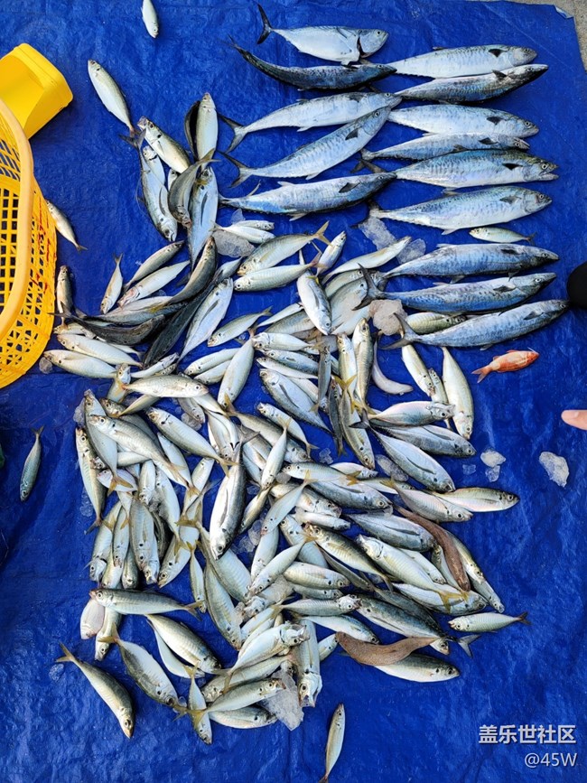 【我拍了拍夏天】收獲滿滿