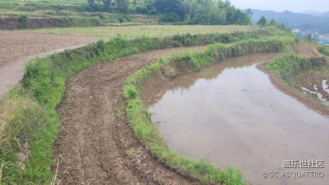 【我拍了拍夏天】下地