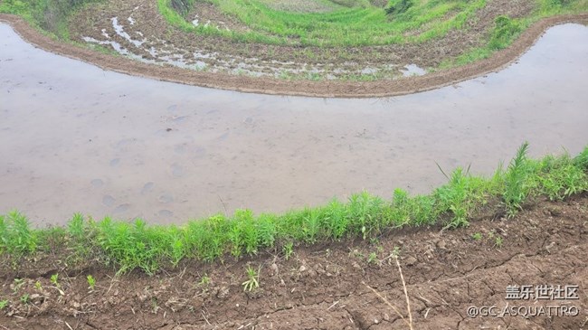 【我拍了拍夏天】下地