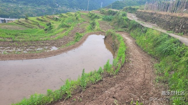 【我拍了拍夏天】下地