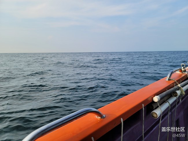 【我拍了拍夏天】收獲滿滿