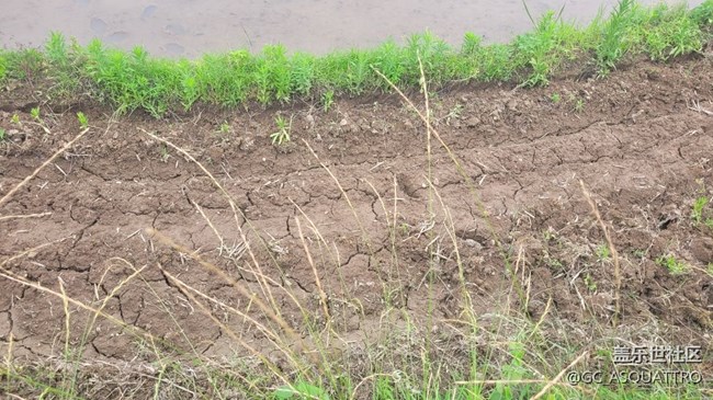 【我拍了拍夏天】下地