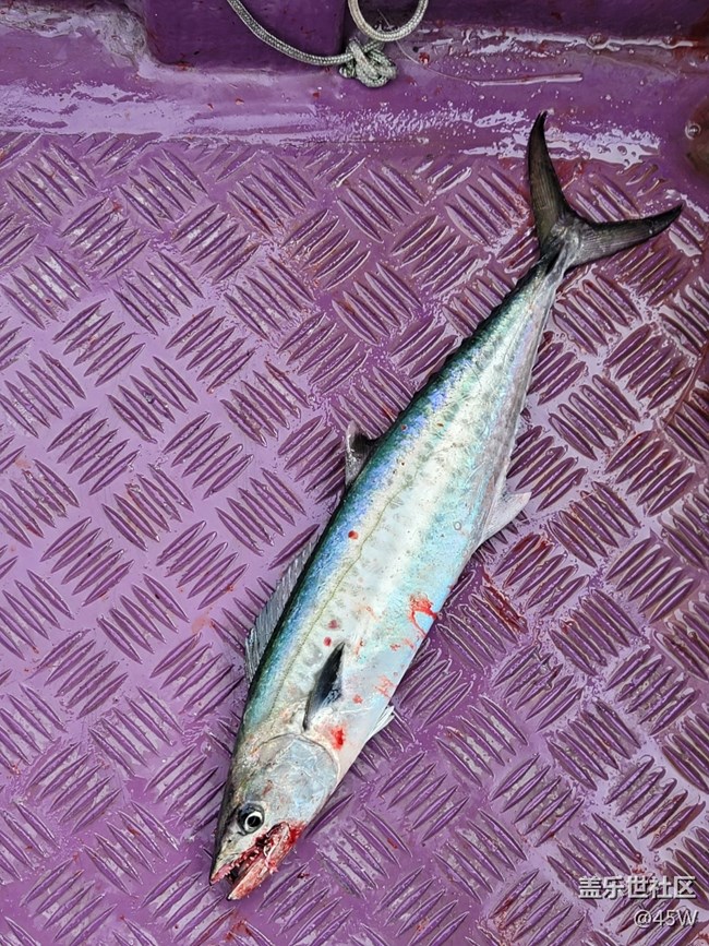 #歡樂時(shí)光——首釣 | 成功