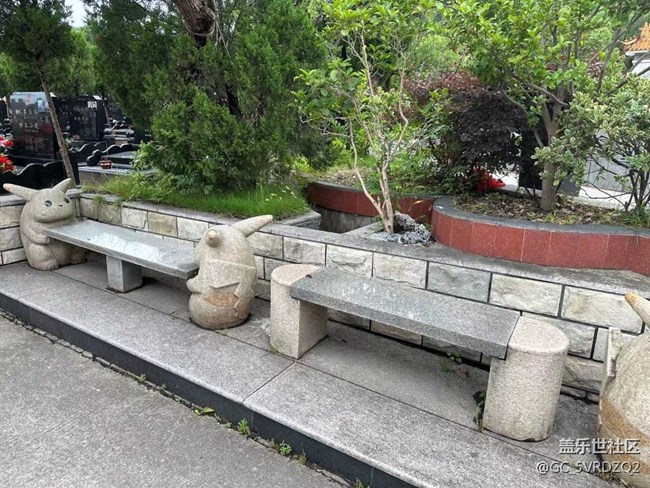 【端午安康】端午的一天