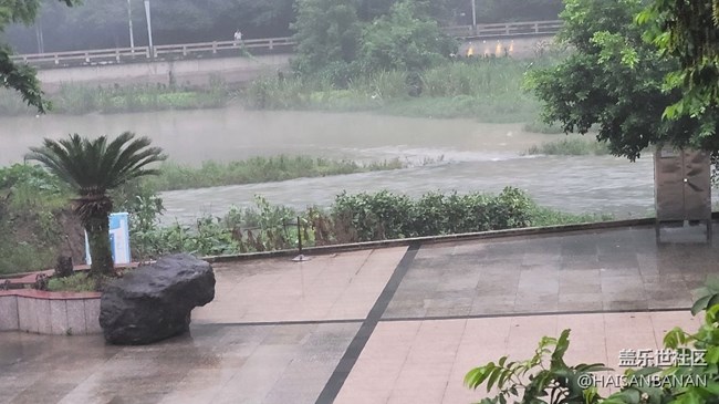 【我拍了拍夏天】霧氣