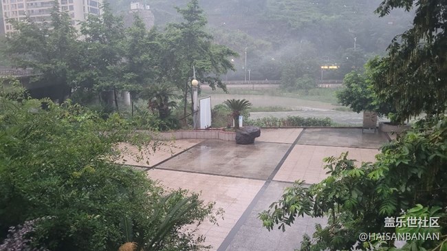 【我拍了拍夏天】霧氣