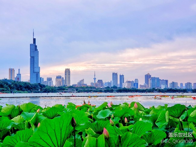 《濃情端午》“粽”是甜蜜蜜 《濃情端午》“粽”是甜蜜蜜