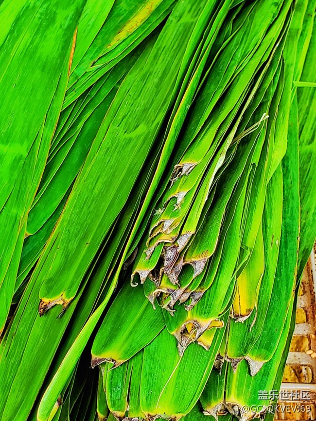 《濃情端午》“粽”是甜蜜蜜 《濃情端午》“粽”是甜蜜蜜