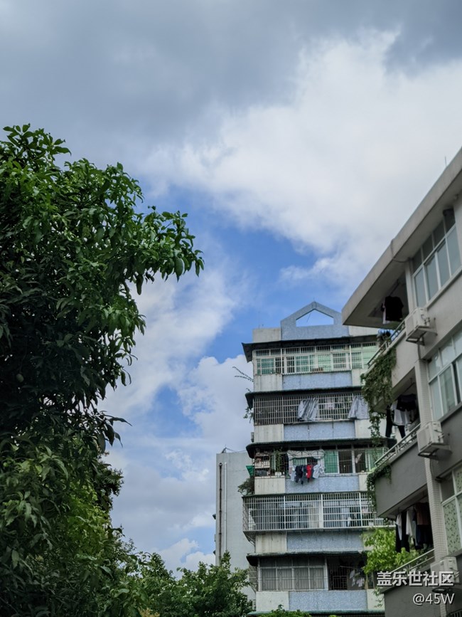 【沿途美景】目之所及