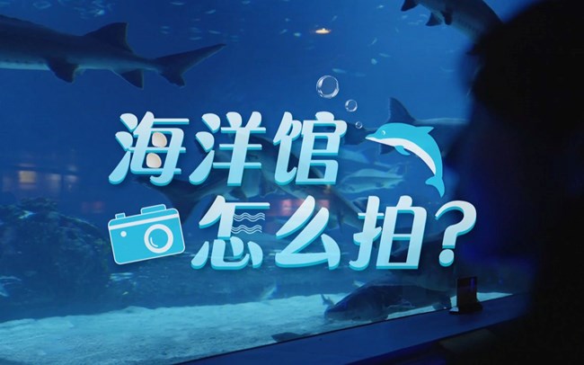 帶上Galaxy S23 Ultra，漫游海底世界