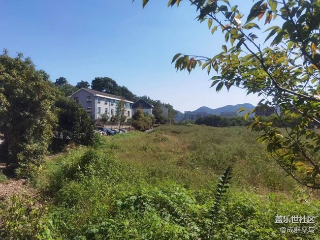 【我拍了拍夏天】外出游玩