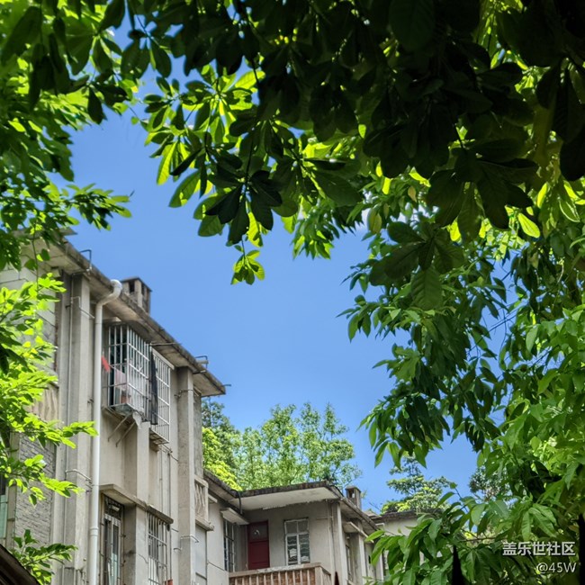 【沿途美景】目之所及