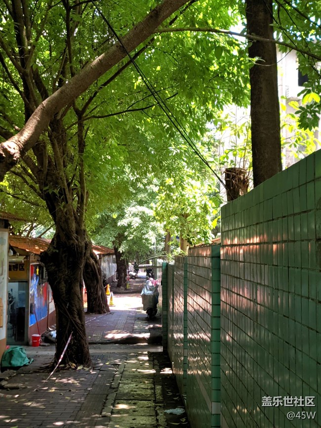 【沿途美景】目之所及