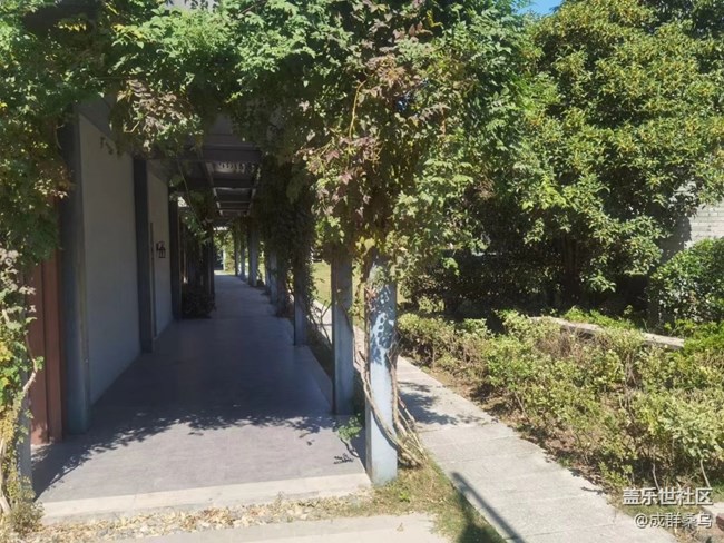 【我拍了拍夏天】外出游玩