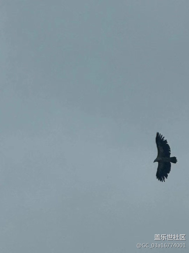 【沿途美景】四姑娘山