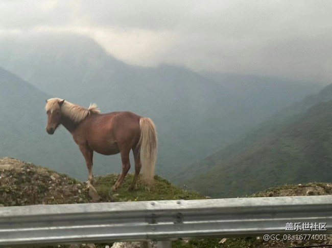 【沿途美景】四姑娘山