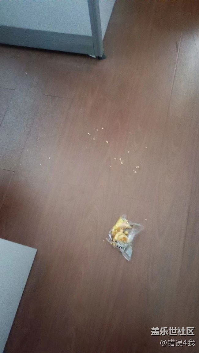 【我的毛孩子】小偷貓