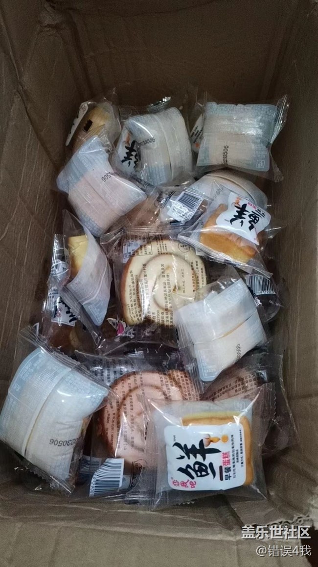 【我的毛孩子】小偷貓