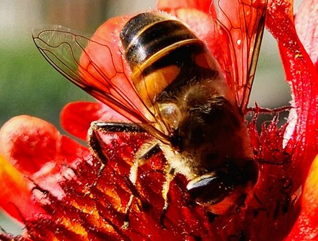 批注 2023-06-26 141348.jpg