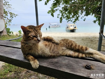 【鏡頭里的夏天】+仙本那馬達(dá)京群島