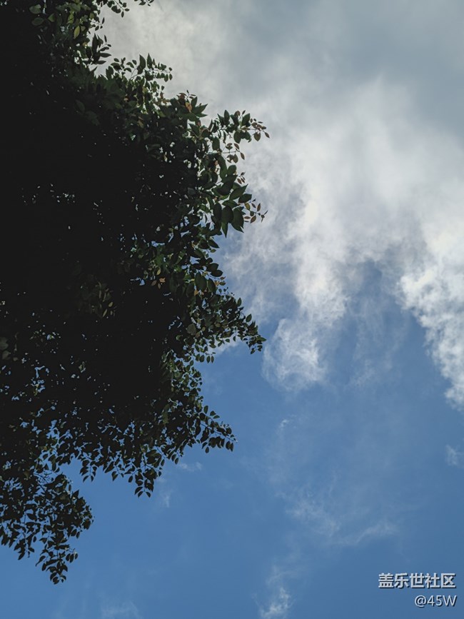 【我拍了拍夏天】感受心靈凈土