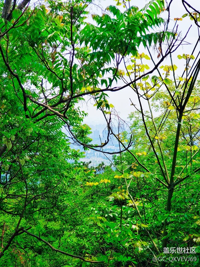 【沿途美景】+叢林深處