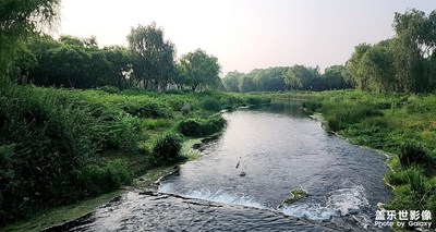 【鏡頭里的夏天】+夏天早晨的街頭公園