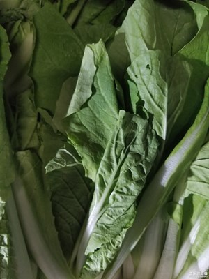 【夏日好時光】+小白菜