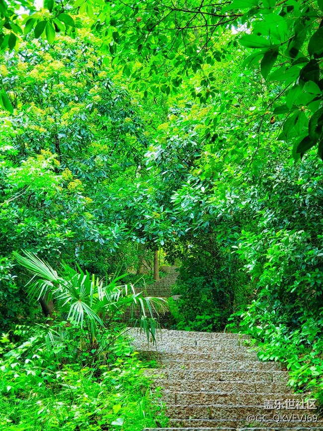 【沿途美景】+叢林深處