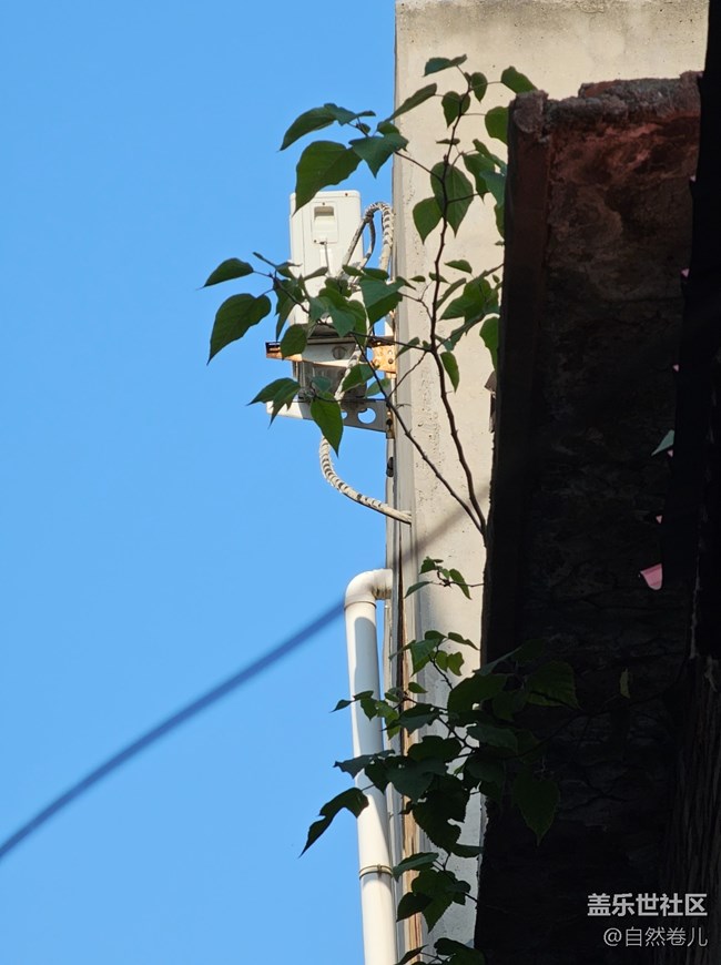 【S23U】拍攝體驗