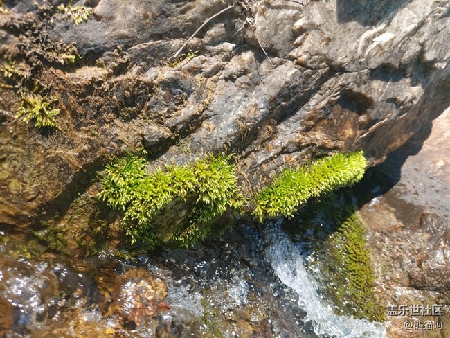 【沿途美景】山清水秀