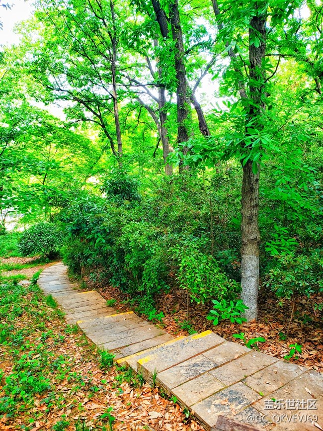 【沿途美景】+叢林深處