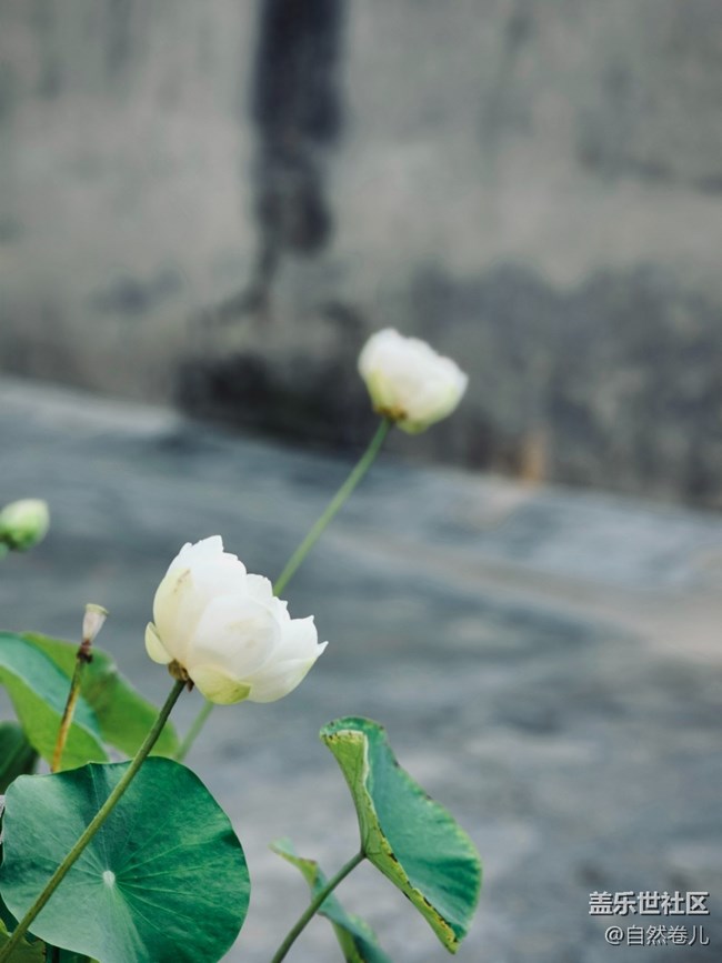 【S23U】拍攝體驗