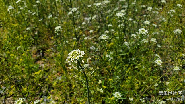 【沿途美景】山清水秀