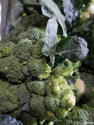 【夏日好時光】+花菜