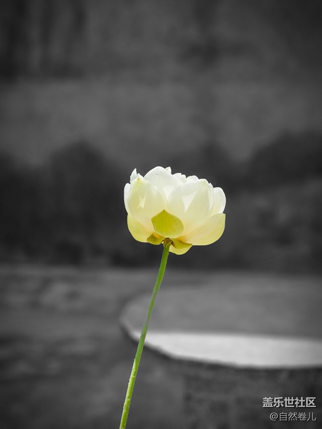 【S23U】拍攝體驗