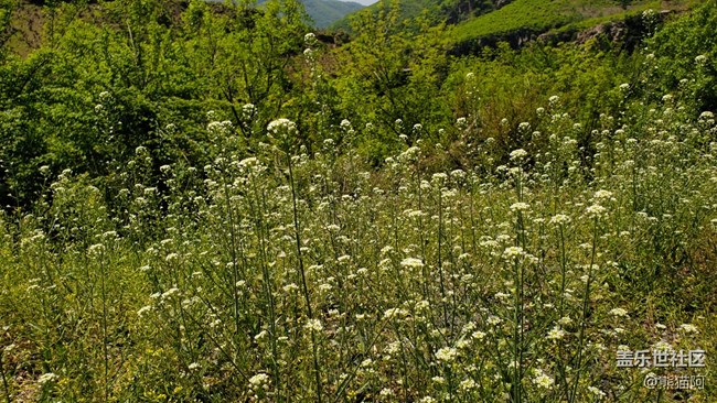 【沿途美景】山清水秀