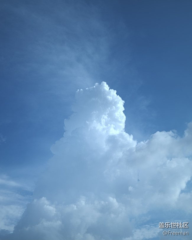 【我拍了拍夏天】蔚藍(lán)色