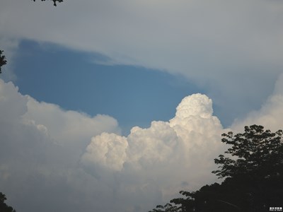 【鏡頭里的夏天】另一種夏天