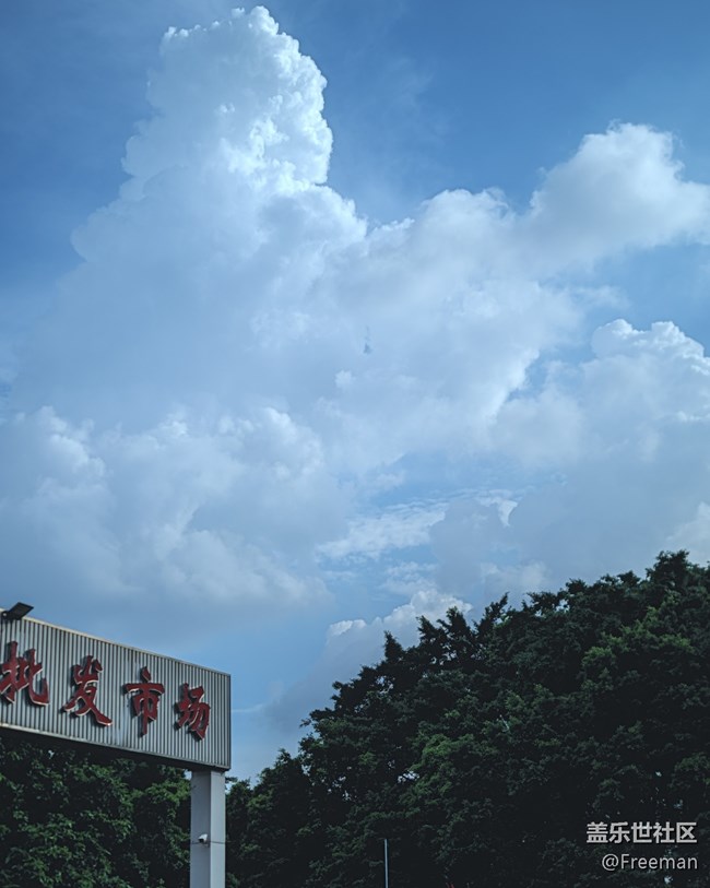 【我拍了拍夏天】蔚藍(lán)色